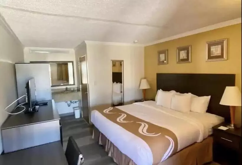 اتاق لوکس با تخت بزرگ, Hibiscus Inn & Suites