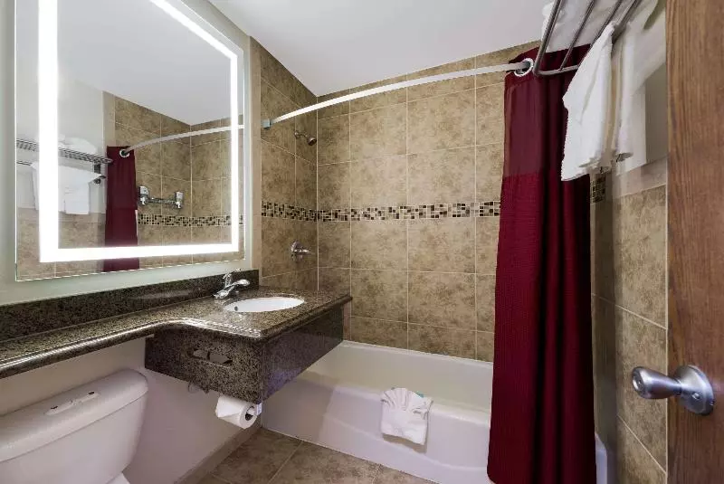 اتاق استاندارد با تخت بزرگ, Rodeway Inn South San Francisco Airport