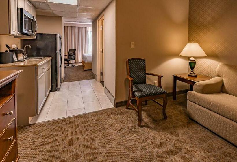 キングサイズベッドのスイートルーム, The English Inn Of Charlottesville