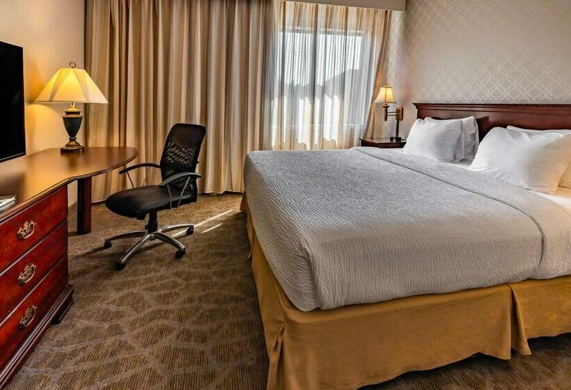 キングサイズベッドのスイートルーム, The English Inn Of Charlottesville