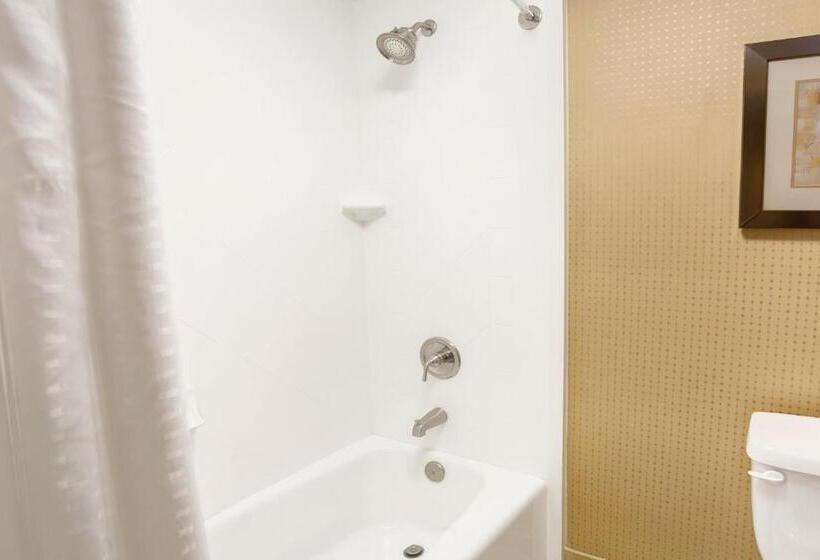 غرفة قياسية سرير كينج, Wyndham Garden Duluth