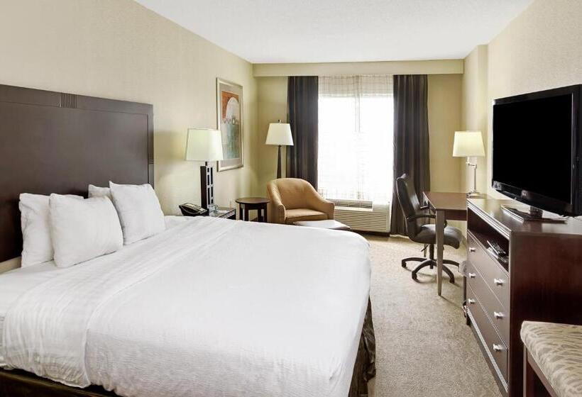 غرفة قياسية سرير كينج, Wyndham Garden Duluth