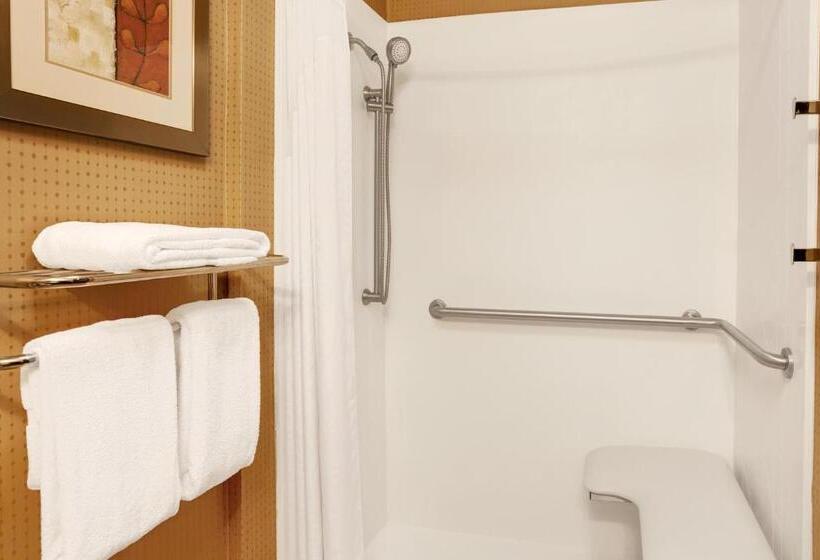 Номер Стандарт Кровать Кинг Адаптированный для Инвалидов, Wyndham Garden Duluth
