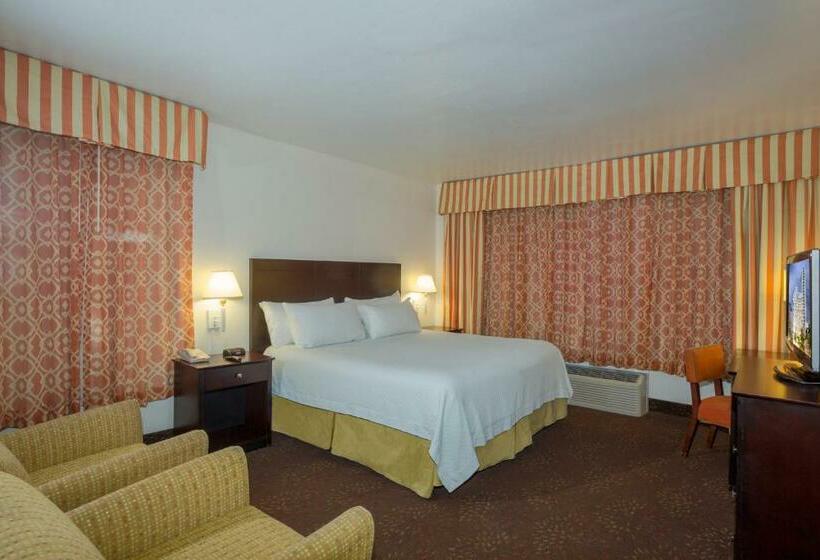 스탠다드 룸 킹사이즈 침대, Lexington By Hotel Rl Miami Beach