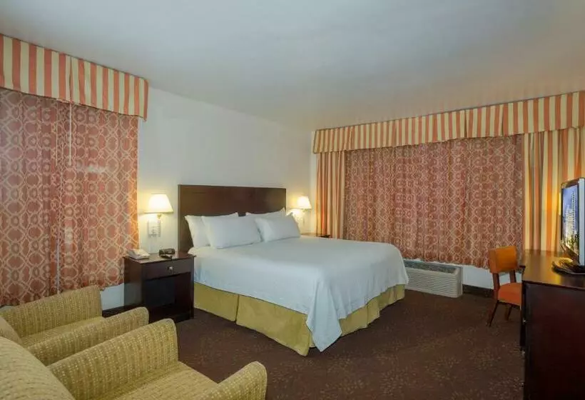 اتاق استاندارد با تخت بزرگ, Lexington By Hotel Rl Miami Beach