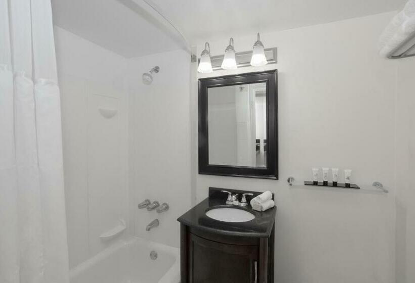 带大床的标准间, Lexington By Hotel Rl Miami Beach