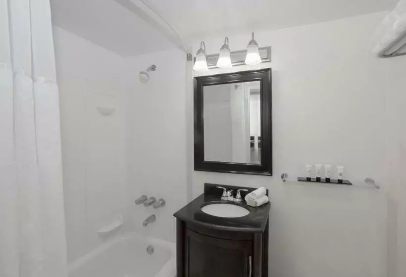 اتاق استاندارد با تخت بزرگ, Lexington By Hotel Rl Miami Beach