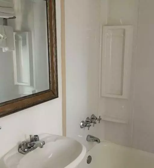 اتاق استاندارد با تخت بزرگ برای معلولان, Lexington By Hotel Rl Miami Beach