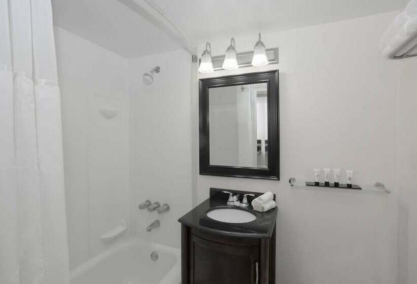 带2个双人床的标准工作室, Lexington By Hotel Rl Miami Beach