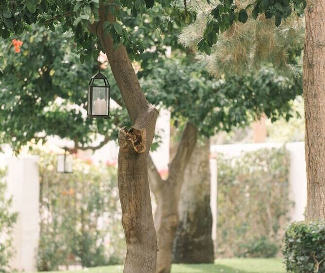 חדר סטנדרט מיטה זוגית, Palm Mountain Resort & Spa