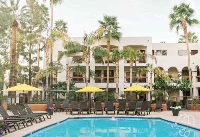 キングサイズベッドのデラックスルーム, Palm Mountain Resort & Spa