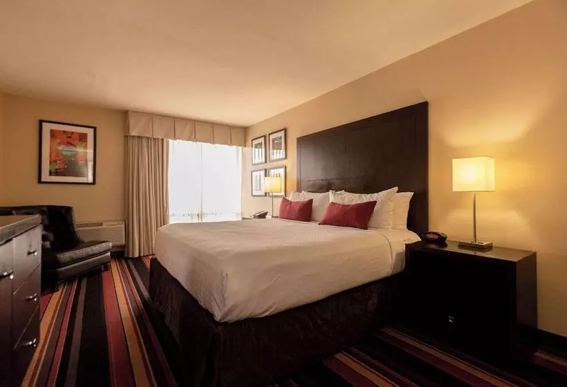 سوییت, Clarion Hotel New Orleans   Airport & Conference Center