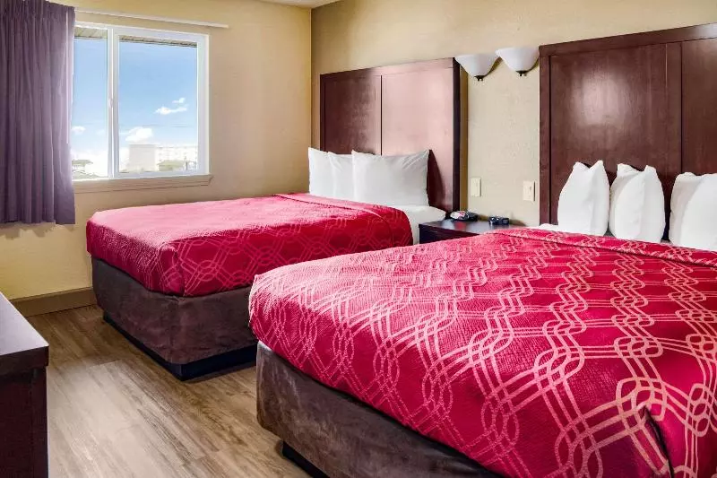 اتاق استاندارد برای معلولان, Baymont Inn & Suites Florence By Wyndham