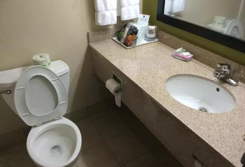 ２ダブルベッドのスタンダードルーム, Best Western Adena Inn