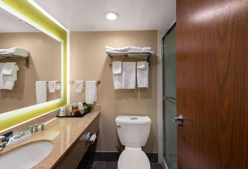 스탠다드 룸 더블 침대 2개, Best Western Adena Inn