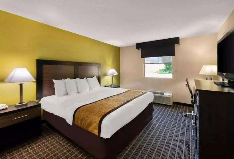 キングサイズベッドのスタンダードルーム, Best Western Adena Inn