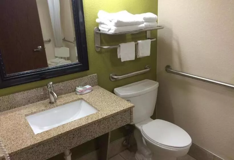 身障者適用スタンダードルーム, Best Western Adena Inn