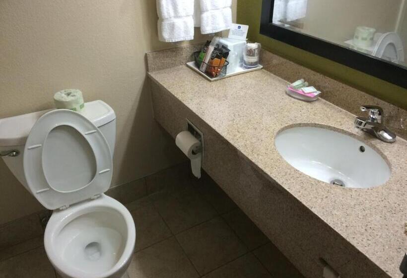 장애인을 위한 스탠다드 룸, Best Western Adena Inn