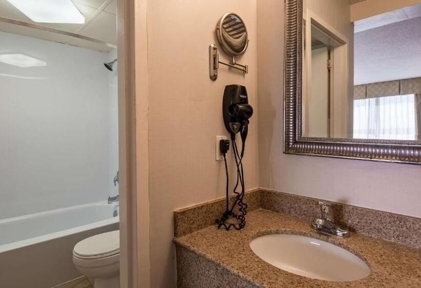 Стандартный Номер Кровать Кинг, Best Western Mill River Manor