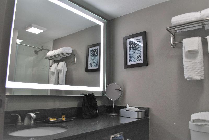 带大床的标准间, Comfort Inn & Suites