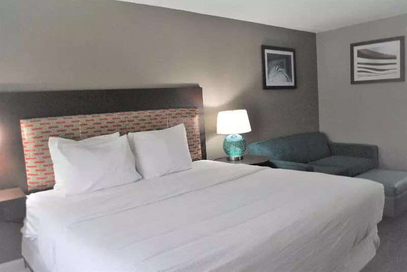 キングサイズベッドのスタンダードルーム, Comfort Inn & Suites