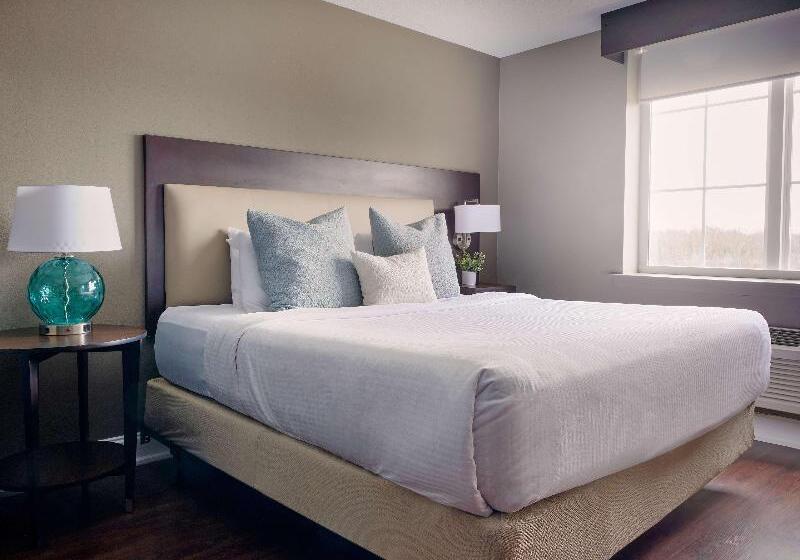 带大床的标准间, Comfort Inn & Suites