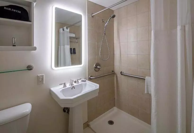 اتاق دلوکس مخصوص معلولین, Collegian Hotel & Suites, Trademark Collection By Wyndham
