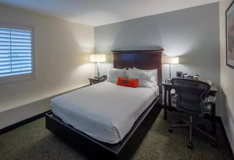 اتاق دلوکس مخصوص معلولین, Collegian Hotel & Suites, Trademark Collection By Wyndham