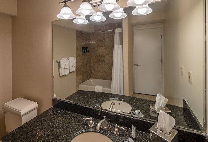 Люкс, Collegian Hotel & Suites, Trademark Collection By Wyndham