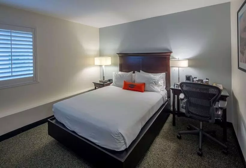 اتاق دلوکس مخصوص معلولین, Collegian Hotel & Suites, Trademark Collection By Wyndham