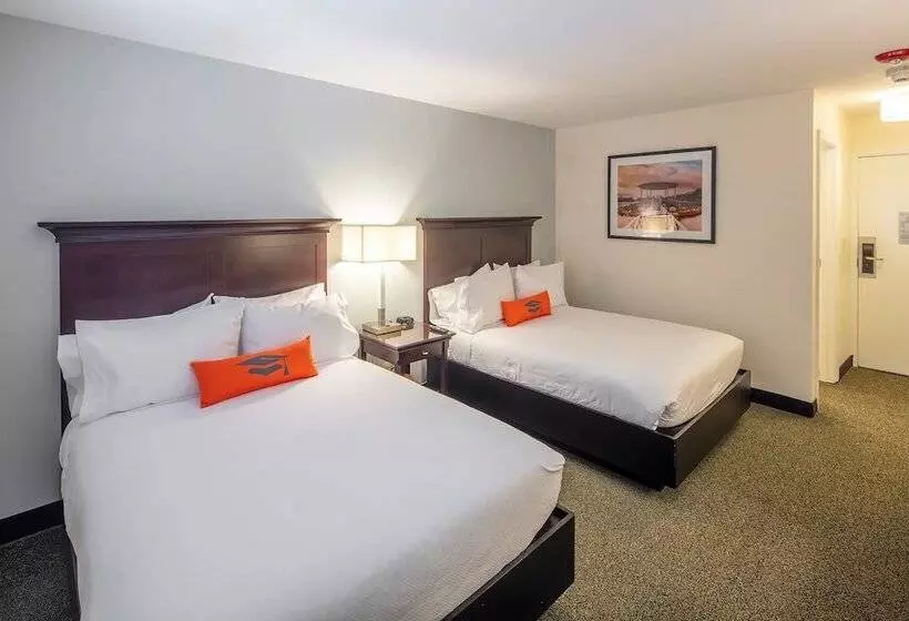 اتاق استاندارد با 2 تخت دوبل, Collegian Hotel & Suites, Trademark Collection By Wyndham