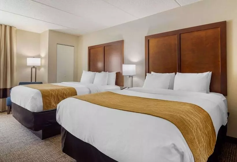 اتاق استاندارد با 2 تخت دوبل, Comfort Inn Atlanta Airport