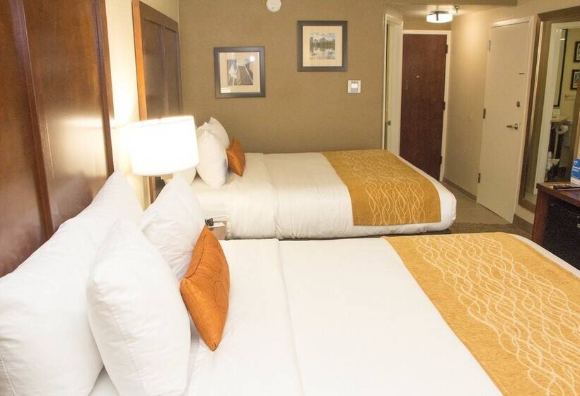 Номер Стандарт 2 Двуспальные Кровати, Comfort Inn Atlanta Airport