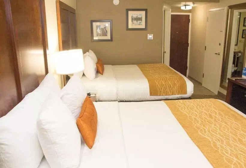 اتاق استاندارد با 2 تخت دوبل, Comfort Inn Atlanta Airport