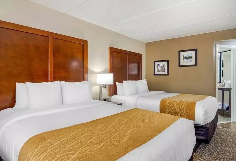 اتاق استاندارد با 2 تخت دوبل, Comfort Inn Atlanta Airport