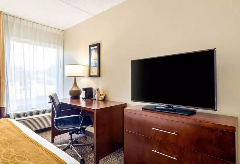 اتاق استاندارد با 2 تخت دوبل, Comfort Inn Atlanta Airport