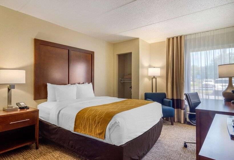 身障者適用ダブルベッド付きスタンダードルーム, Comfort Inn Atlanta Airport