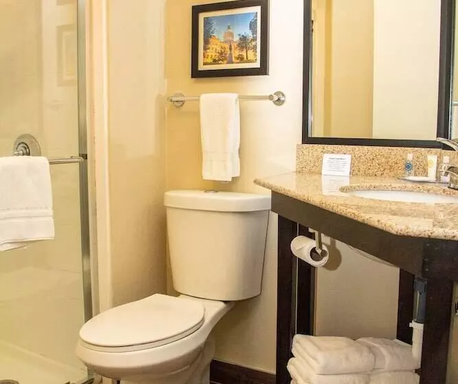 اتاق استاندارد با تخت دوبل برای معلولان, Comfort Inn Atlanta Airport