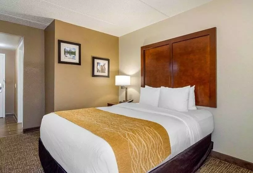 اتاق استاندارد با تخت دوبل برای معلولان, Comfort Inn Atlanta Airport