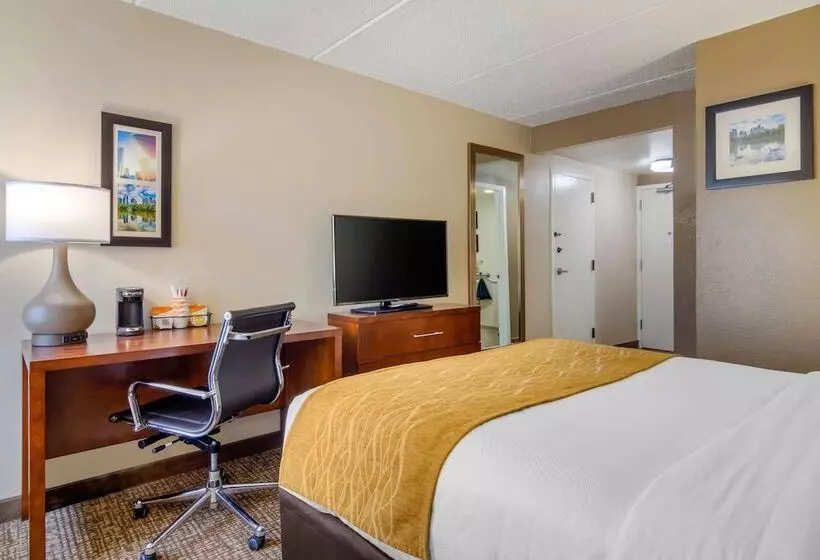 اتاق استاندارد با تخت دوبل برای معلولان, Comfort Inn Atlanta Airport