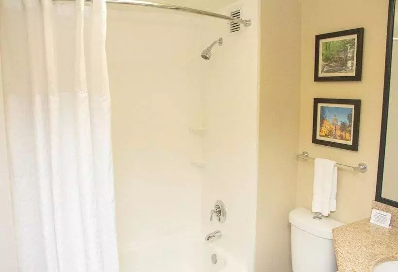اتاق استاندارد با تخت دوبل برای معلولان, Comfort Inn Atlanta Airport