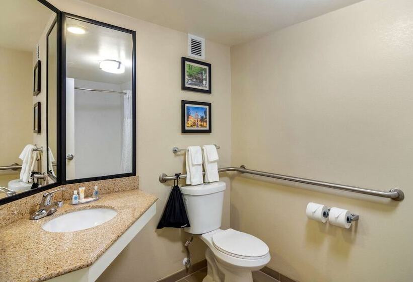 身障者適用ダブルベッド付きスタンダードルーム, Comfort Inn Atlanta Airport