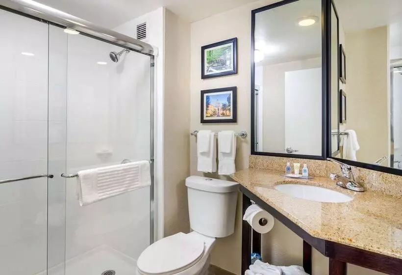 اتاق استاندارد با 2 تخت دوبل, Comfort Inn Atlanta Airport