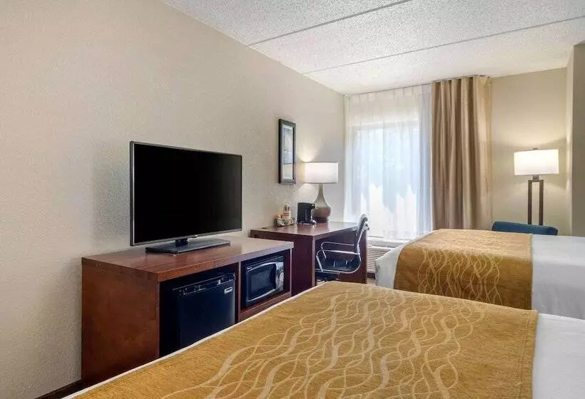 اتاق استاندارد با 2 تخت دوبل, Comfort Inn Atlanta Airport