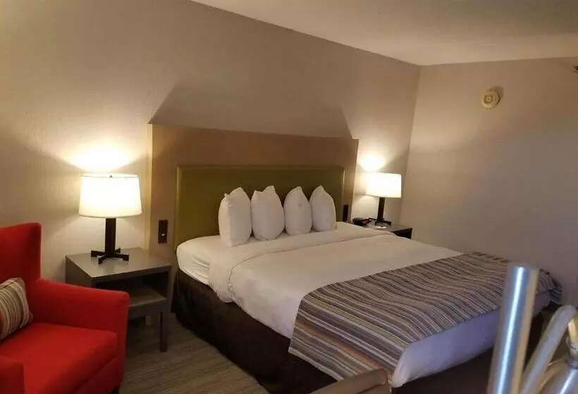 キングサイズベッドのスタンダードルーム, Country Inn & Suites By Radisson, Grand Prairiedfwarlington, Tx