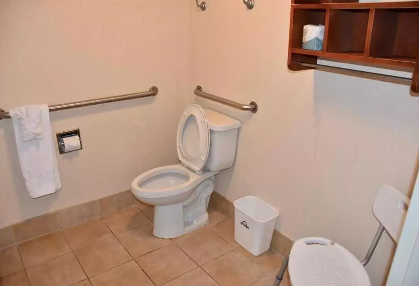 اتاق استاندارد برای معلولان, Days Inn By Wyndham Las Cruces