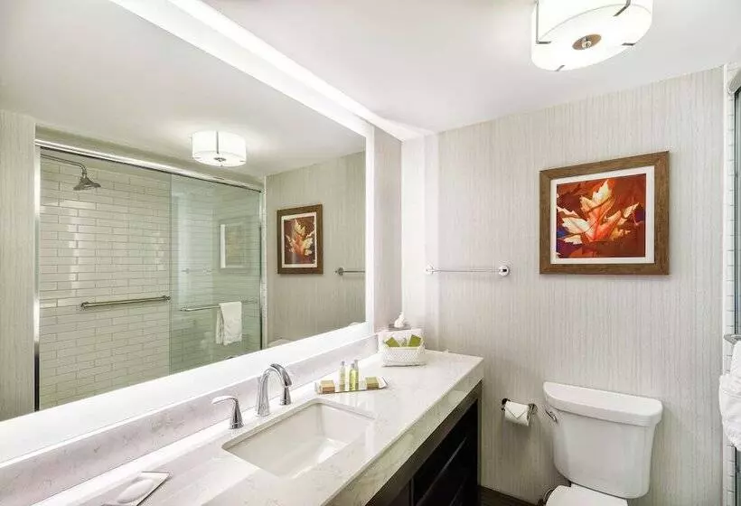 ２ダブルベッドのスタンダードルーム, Doubletree By Hilton Hotel Johnson City