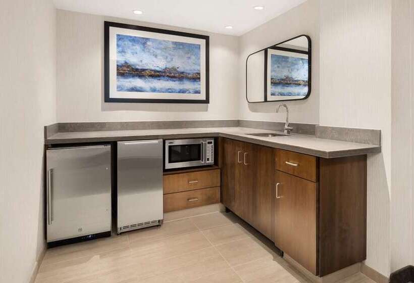 스위트 킹사이즈 침대, Embassy Suites By Hilton Detroit Metro Airport