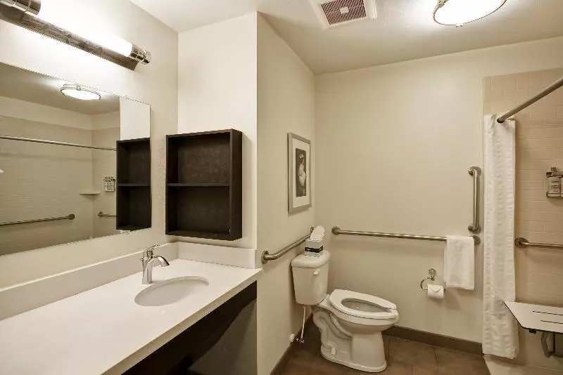 آپارتمان 2 خوابه, Four Seasons Hotel Houston
