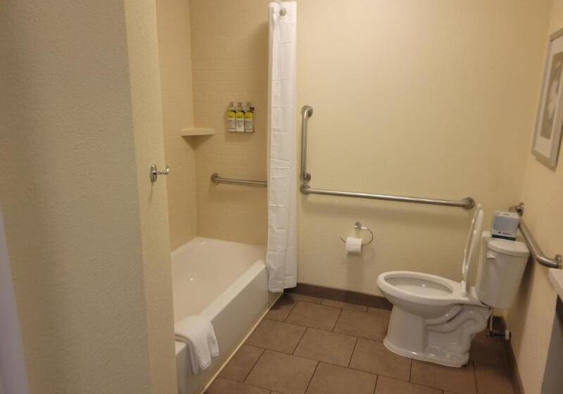 ２ベッドルームアパートメント, Four Seasons Hotel Houston
